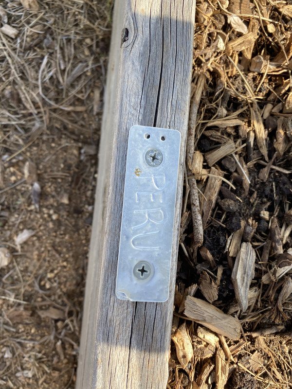 801E73FA-601C-436B-83FC-CEBC1DFD2A8E