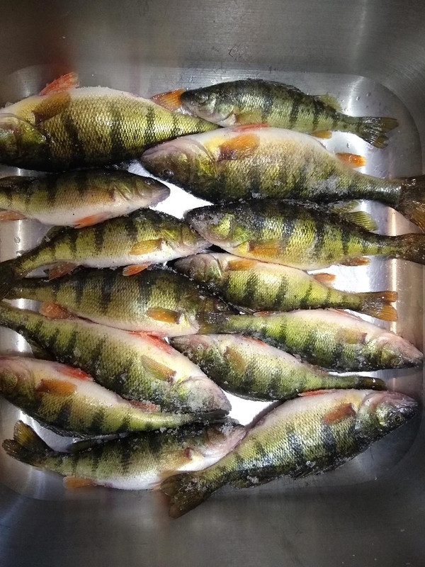 hot bite