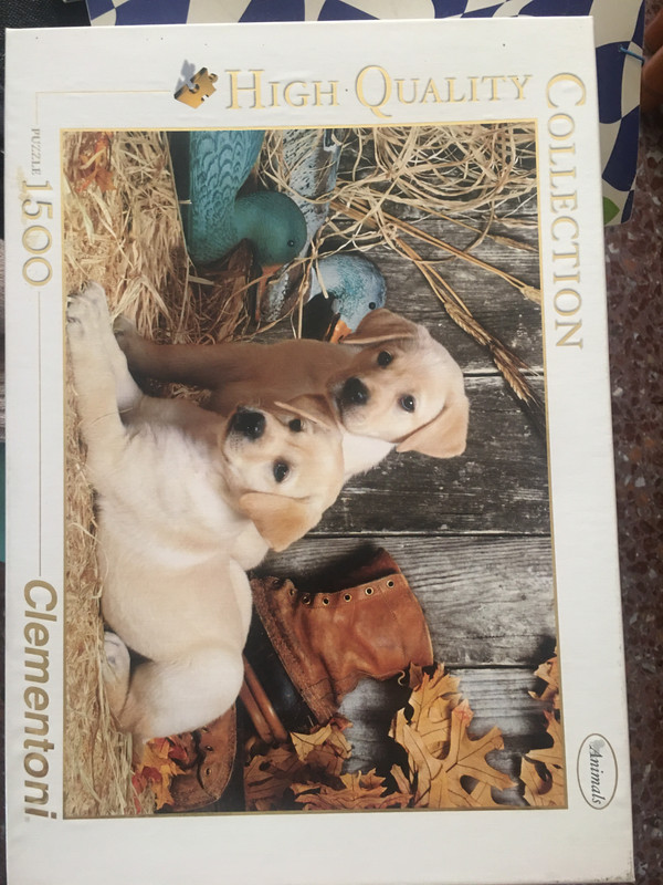 3CCED874-B11B-444D-AAAB-B06153251811