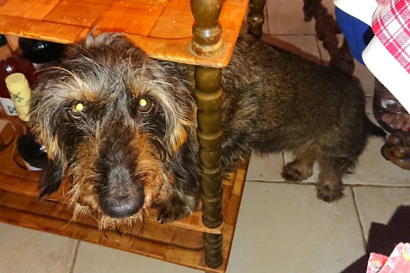 [Image: DSC-2964.jpg]