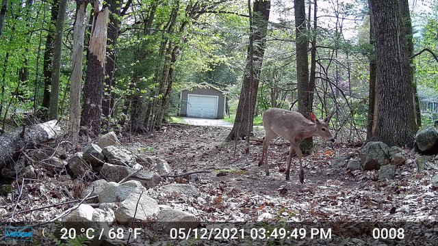 DSCF0263.jpg