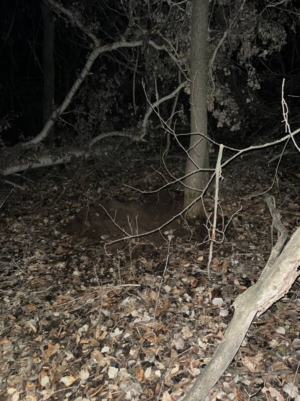 4FD4FA63-5B2E-4002-8130-1D51141F056E