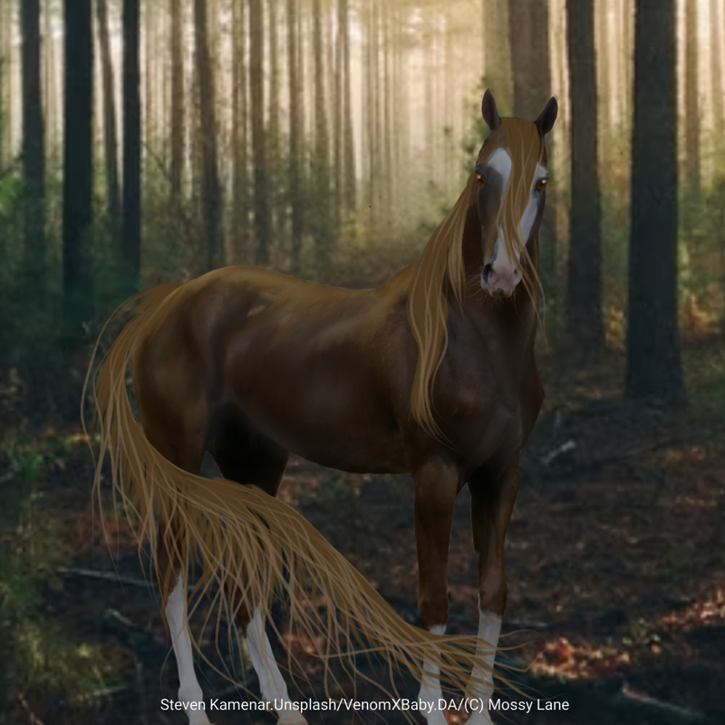 Untitled78-20220217132100.png