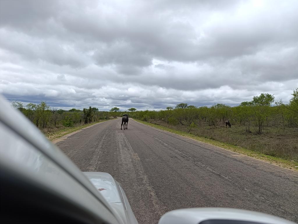 Такая близкая Африка. (ЮАР. 22 дня и 4200 км. Ноябрь-Декабрь) Такая близкая Африка. (ЮАР. 22 дня и 4200 км. Ноябрь-Декабрь)