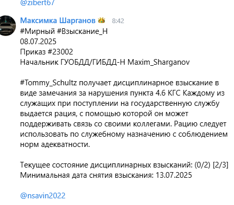 изображение_2025-07-08_110235243