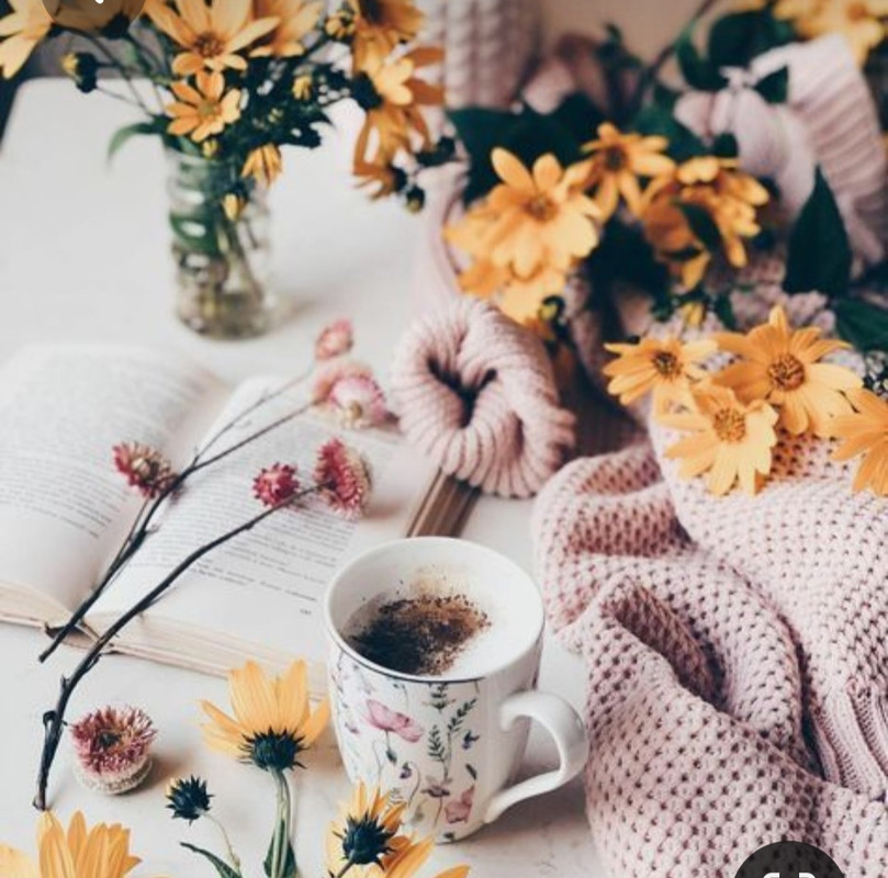 Screenshot_20230309_230508_Pinterest