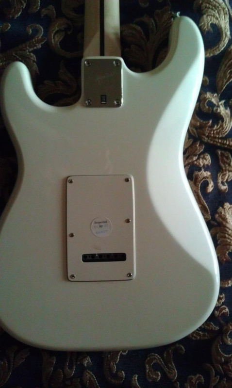 IMAG0055