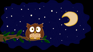 nightowl.gif