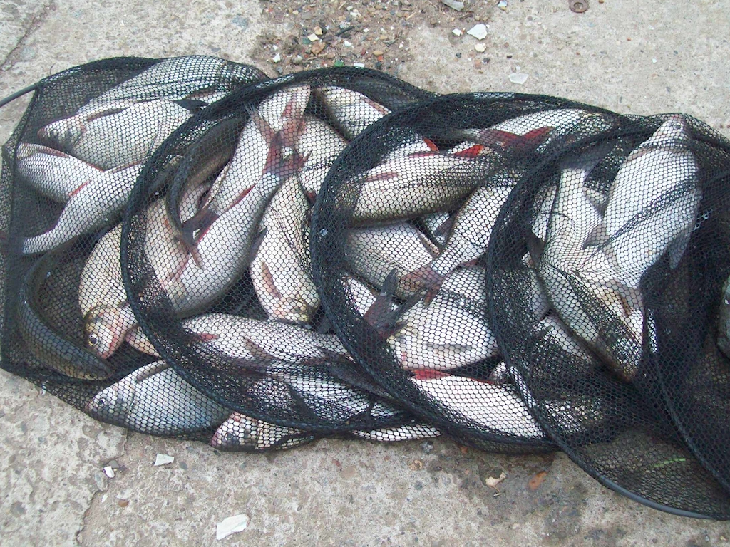 Добрянка 20.10.13 06