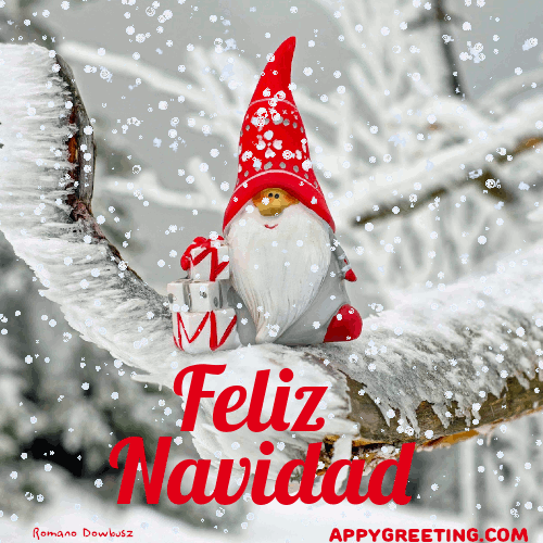 feliz-navidad-gnome-on-snow-background-0jka3gp9u918zebl