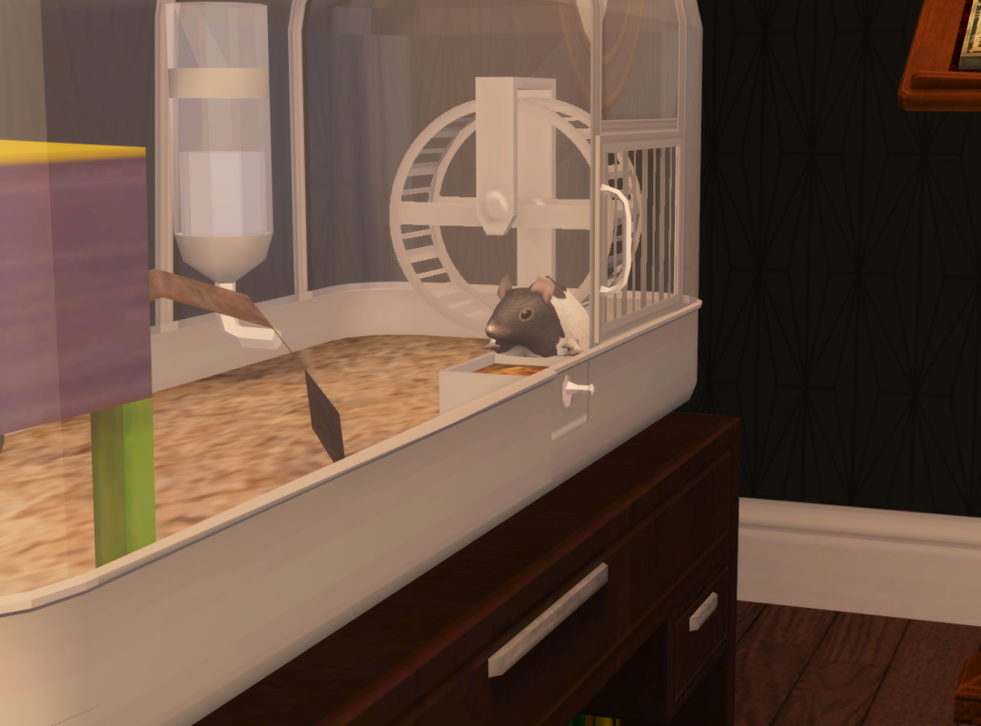 Sims2-EP9-RPC-2023-06-17-19-11-41-12