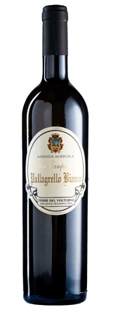Vestini Campagnano Concabianca Pallagrello e Falanghina in vetro 75 cl
