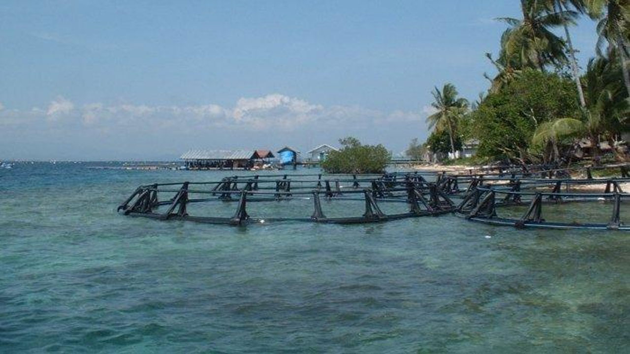 Pulau Seram di Maluku