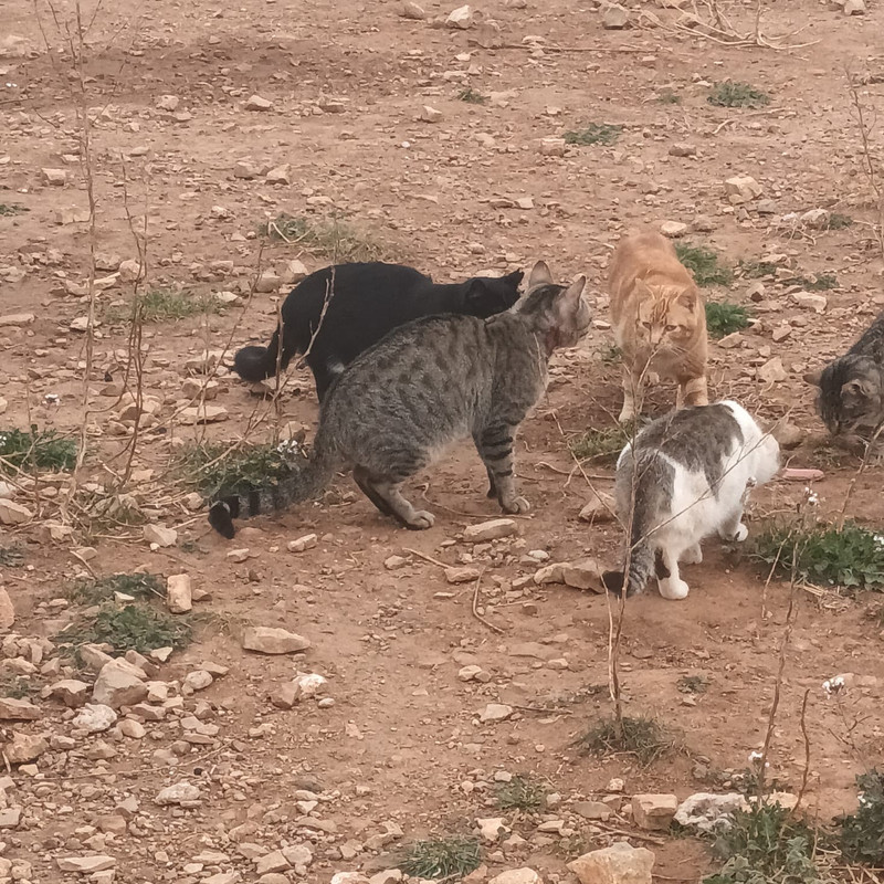 4dbf9aeb-2259-4828-a83b-945969d657c9