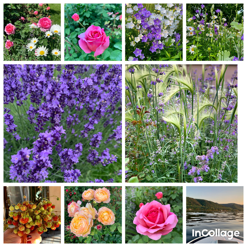 B1D041E7-083B-42BD-8114-628CD688310C