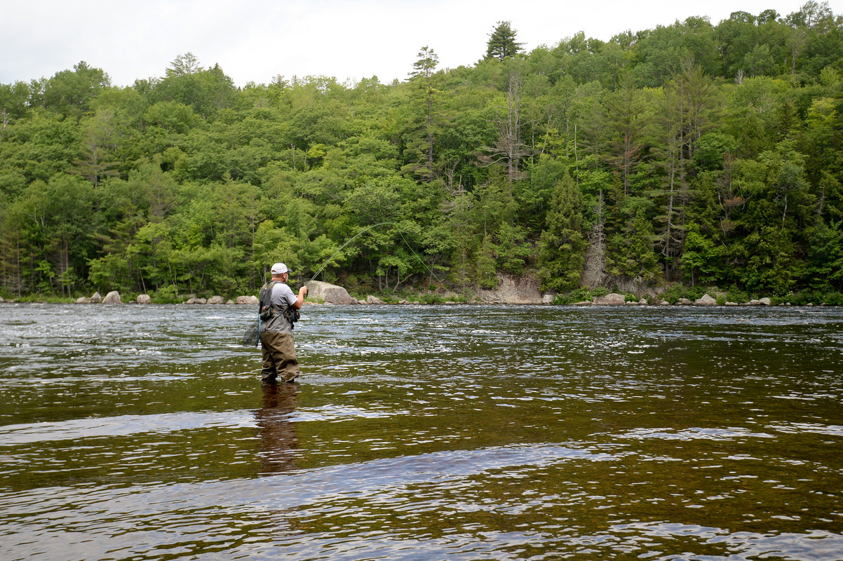 2019_July_MaineAls_047