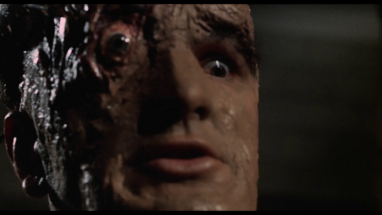 vlcsnap-2024-04-09-13h31m08s256