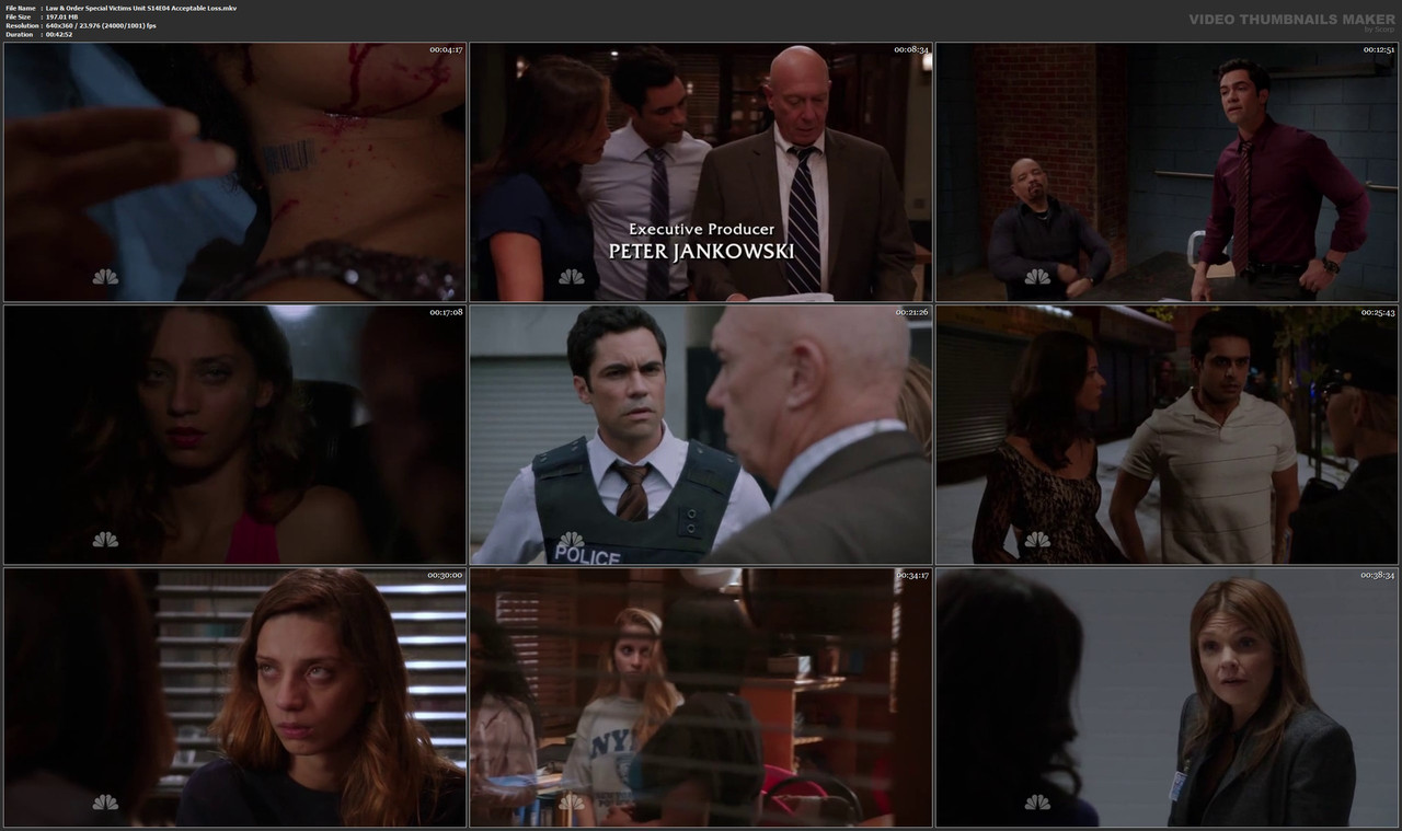 Law & Order Special Victims Unit S14E04 Acceptable Loss.mkv