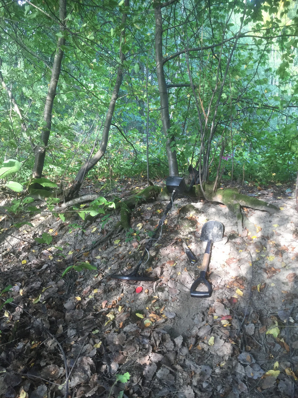 D1BE3424-3F53-4D65-9881-84AE47E7D05A