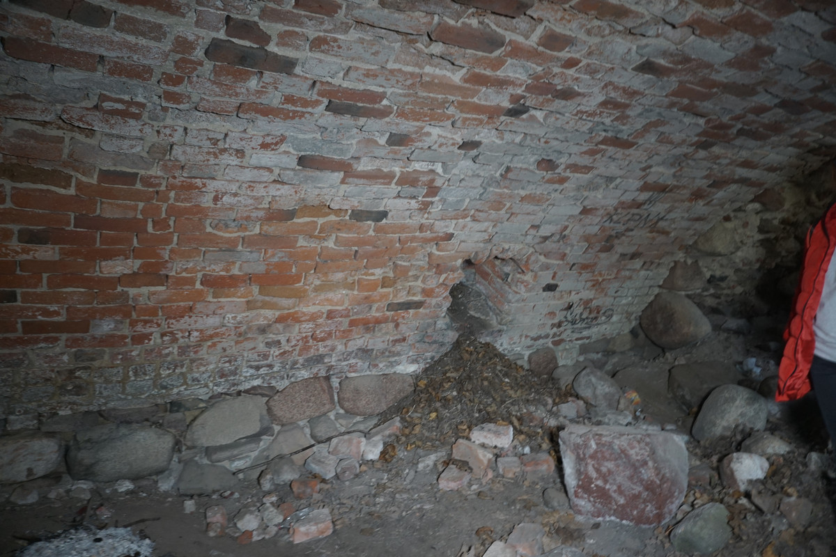 20.08 - DSC07996 (zbychowiec)