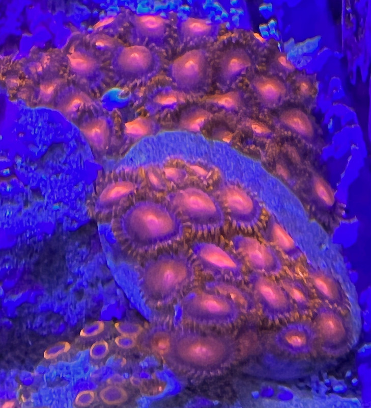 732399DE-C5FE-441C-B5A5-94AA37AB1495