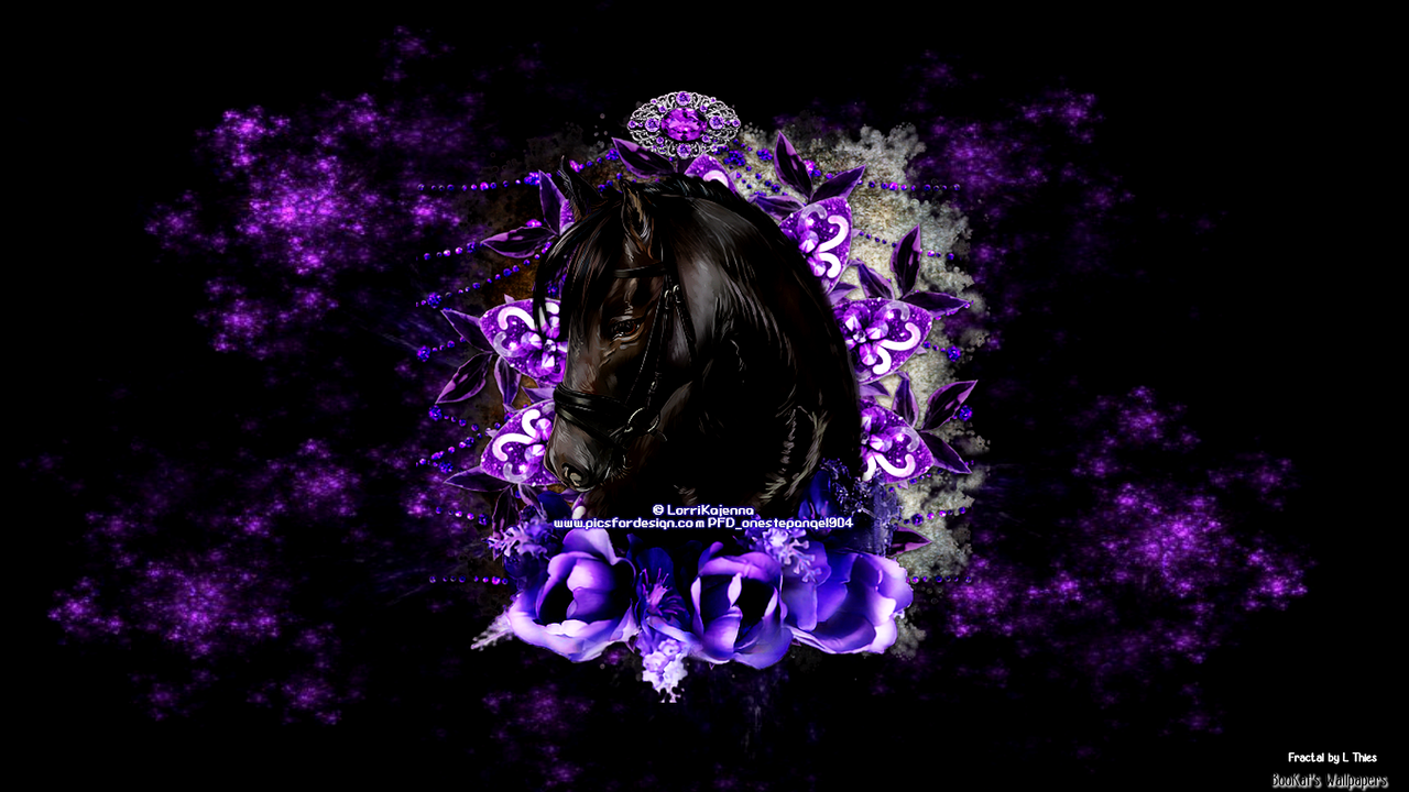 Black Beauty Wallpaper 1920x1080 by Boo Kat2022 — Postimages