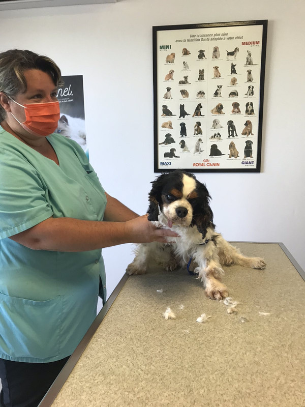 AB587DBA-087C-48DA-B602-8E78DA57F48F