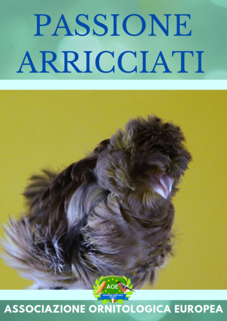 Passione arricciati Editoriale_001