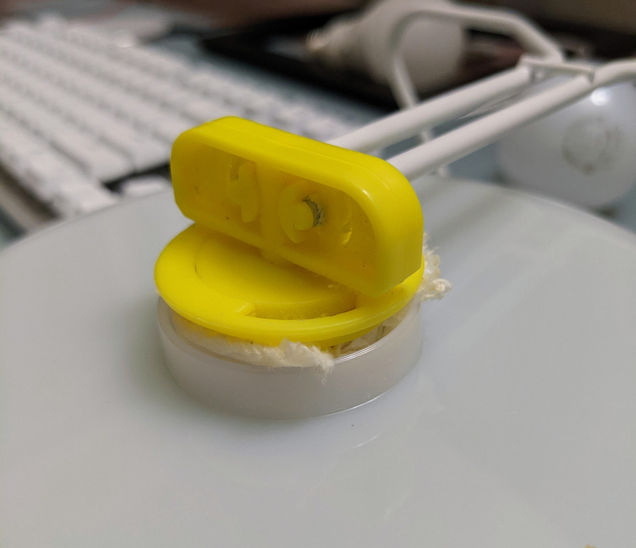 PXL_20210122_082716235