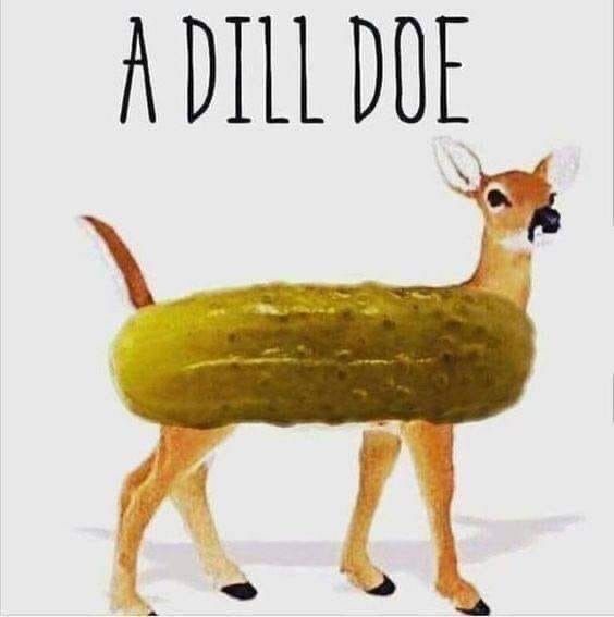 DD.jpg