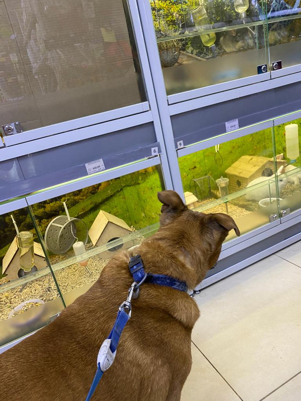 8156B760-E0FA-4CBD-9493-44DEAA037FC5