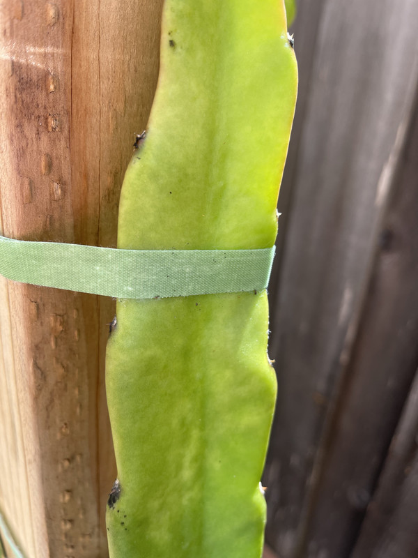 2FD4B5BE-C26D-440E-9B60-F7F96BE04660