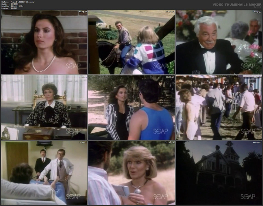 Falcon Crest S05E04 Echoes.mkv