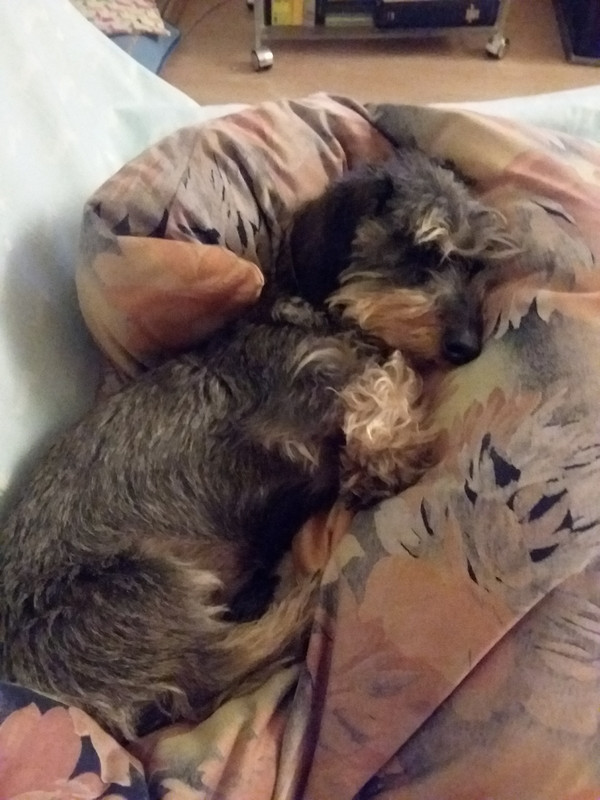 [Image: 20201120-223947-copy-1200x1600.jpg]