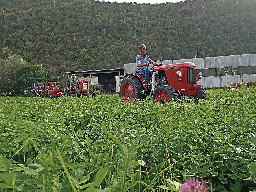 Scargaamuut 2023 (26)