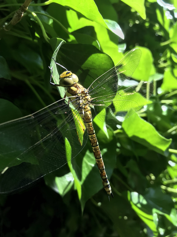 FE588525-2365-45E0-95CB-C8C50492EAE1