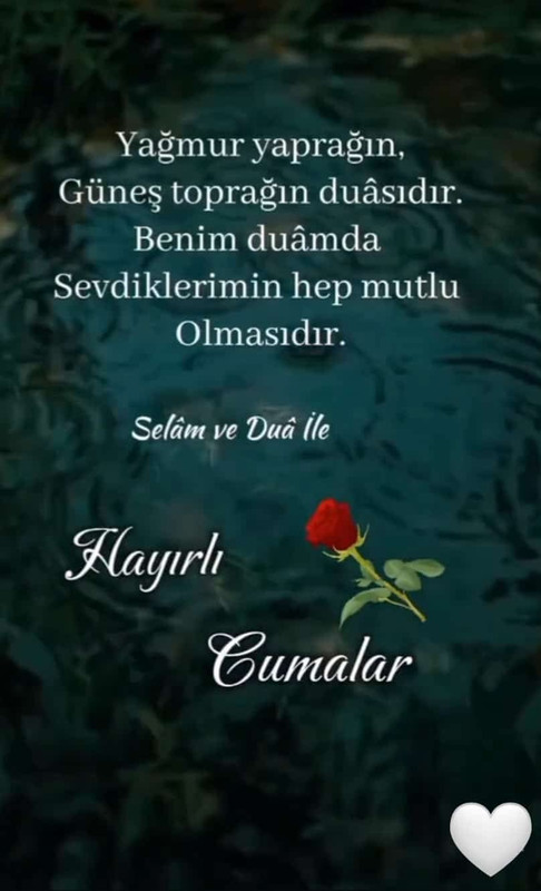 FB_IMG_1747938465046