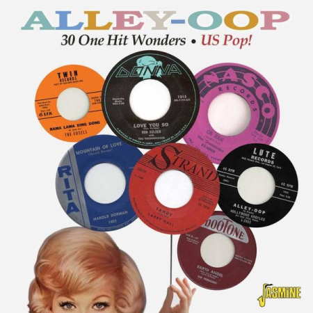 VA - Alley Oop - 30 One Hit Wonders - US Pop ! (2014)