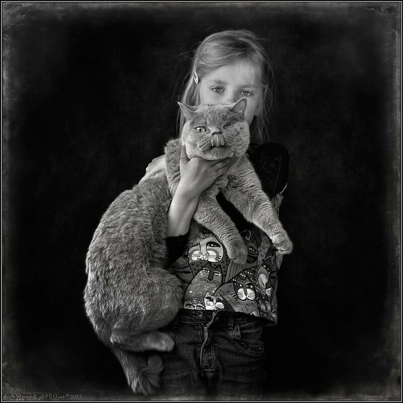 11050646-861810380551721-7526241960631958221-n