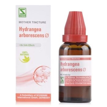 Willmar Schwabe India Hydrangea Arborescens 1X (Q) (30ml)