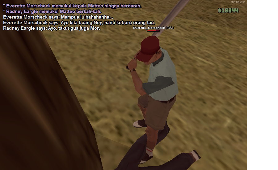 SS12.png