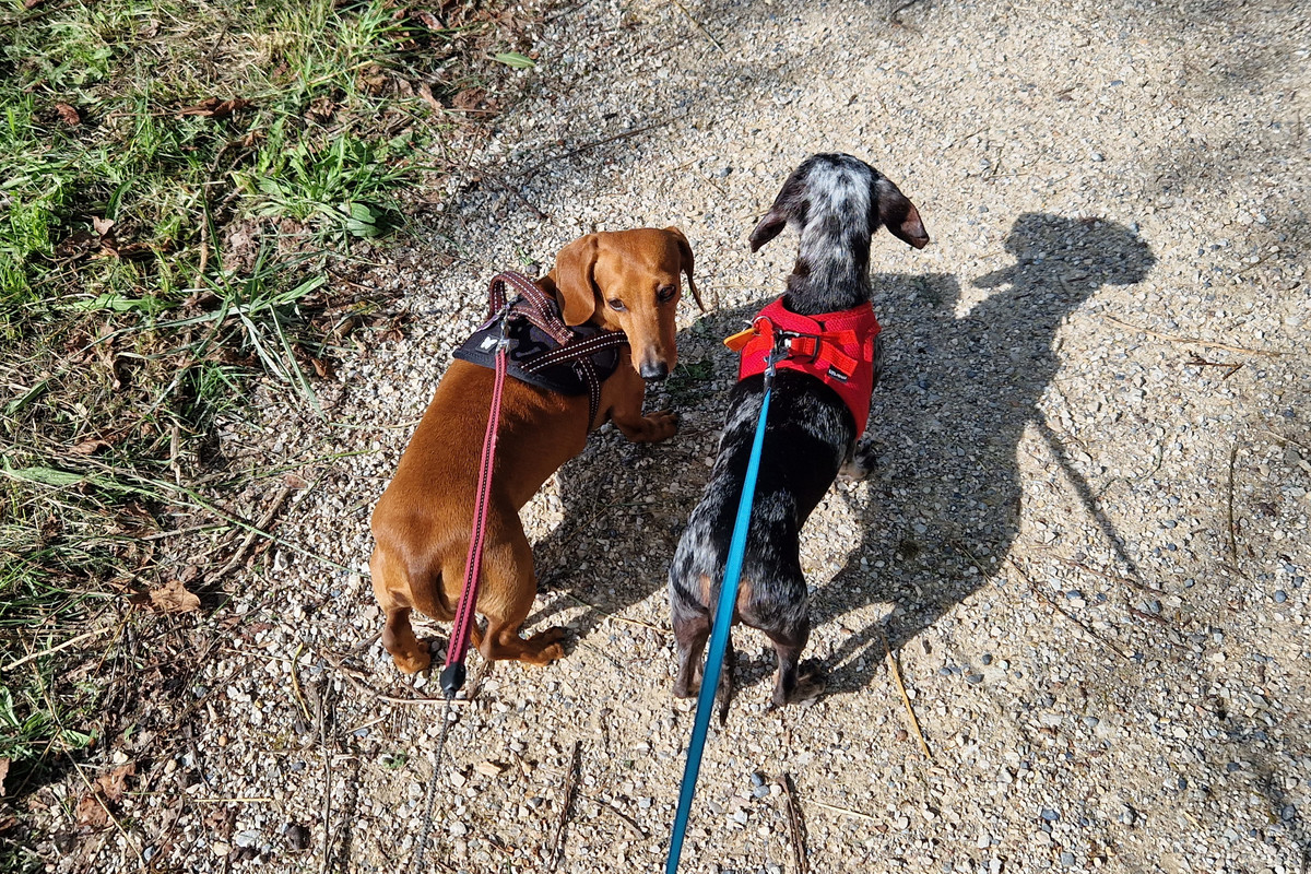 [Image: 20230923-160104.jpg]