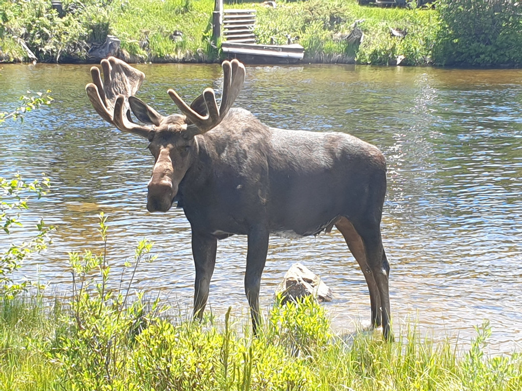 20190703_144416