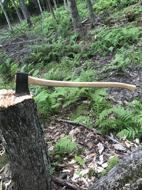 72D5896F-47FF-45C0-8694-A71019792505