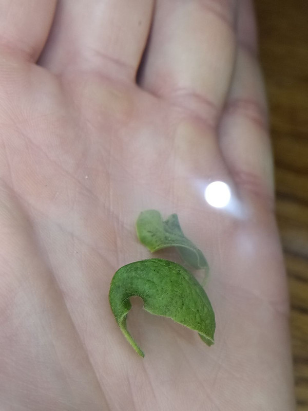 photo 2026 05 10 12 56 45