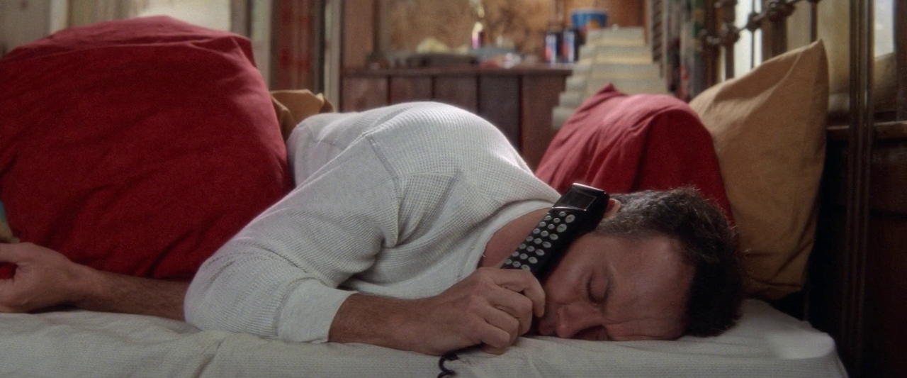 vlcsnap-2023-07-01-16h27m23s529