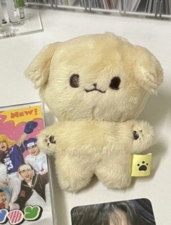 wts_nct_jeno_kongjjen_10_cm_do_1684163463_09c985c7_progressive