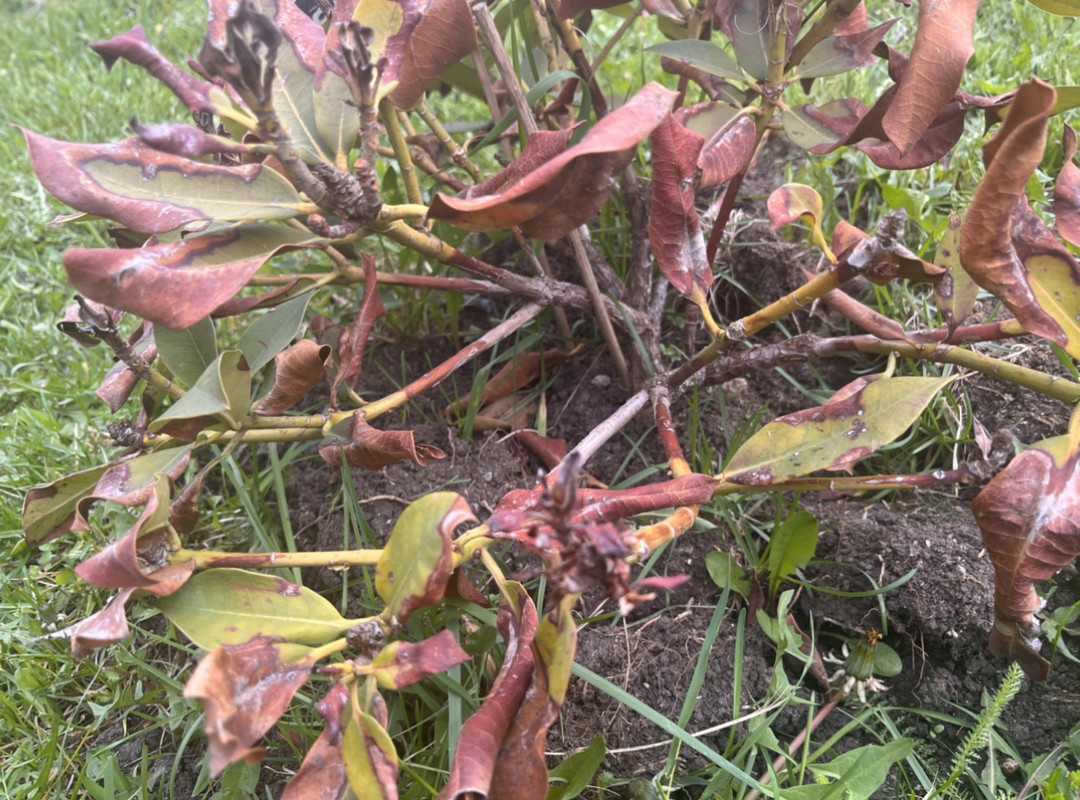 3E5866B2-83BA-49DF-A1A7-6C75EA512F84