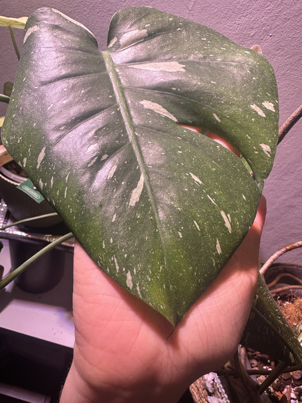 F53F4D94-EB31-47B9-AB0A-D657C23F6CB6