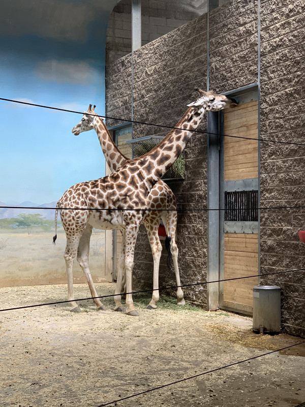 208BDCE4-0492-42EB-ACCD-1188FA1CE872